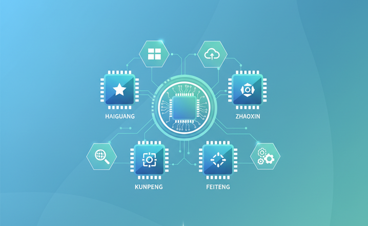 Domestic IT Application Innovation Ecosystem